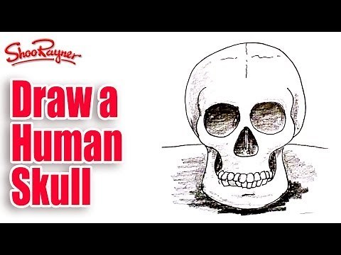 How to draw a Human Skull