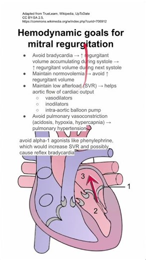 Hemodynamic goals for mitral regurgitation