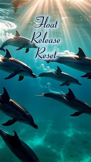 Dolphin Sounds for Healing | Theta Frequencies & Ocean Calm 🐬 Meditation