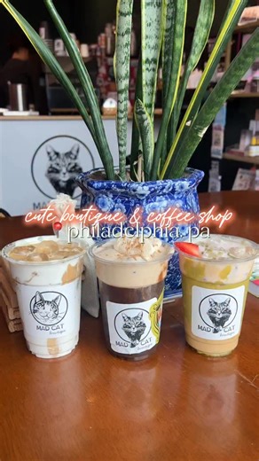 Meg • Iced Coffee Connoisseur ☕️ on Instagram: "📍Mad Cat Brewtique, Philadelphia ☕️Defying Gravity, Pivot Pivot Cold Brew, Fluffy Eagle 🌟9.5/10 Had to share our favorite stop on our mini coffee crawl through Philly, @madcat_brewtique! It was such a cute boutique filled with plenty of apparel, gifts, and trinkets, but the coffee was definitely the star of the show! The Defying Gravity was a pistachio latte with strawberry cream cheese cold foam. It was creamy, sweet, and had a lot of flavor. Th