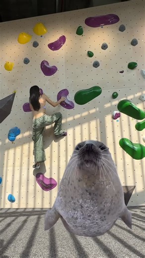 ཐི⋆𝔰𝔲𝔭𝔦⋆ཋྀ on Instagram: "thank you for the commentary hajin"