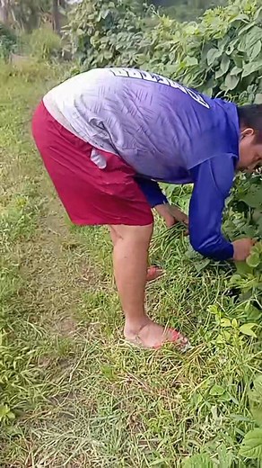 34 reactions · 25 comments | At Jeddah ---- Jeddahya, Paranum, Lallo | Melody Time | Facebook