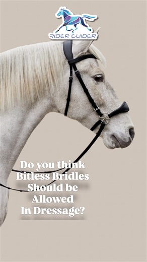 1.2K views · 18 reactions | Dressage is all about harmony, lightness,...