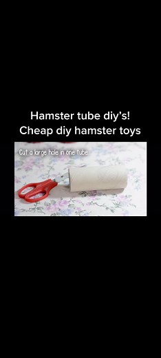 #hamsterdiy #diy #hamsterbudget #hamster #hamstertoys #hamstercage