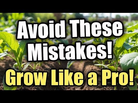 7 Seed Starting Mistakes Pros Never Make (Avoid These for Healthier Crops)