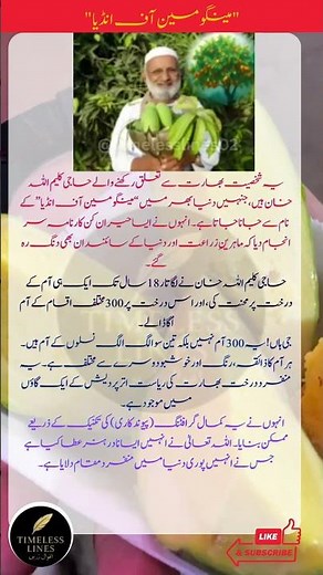 The Mango Man of India: 300 Mango Varieties on One Tree! #MangoMan #IndiaInnovation #HajiKaleemullah