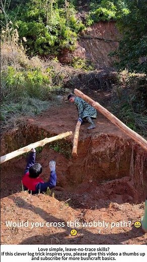 Three‑Log Bridge – A Quick, Tool‑Free Crossing in the Woods 🌲🌉