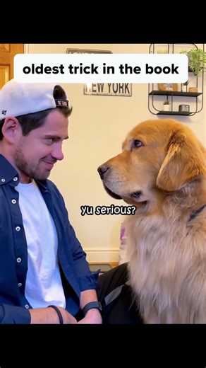 "The Cutest Puppy Compilation You'll Ever See #CutePuppies #DogCompilation"