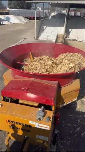 HayBuster on Instagram: "This is a commercial feed operation in Southern Mexico that grinds maize/corn on the cob .They bought an H-1030 for this job but the material kept bridging and wouldn’t feed. Big Bite Bobby (Roberto Fonseca, our Product Manager @haybuster_mexico ) got them set up with the Ear Corn Kit this week. The kit uses two crossbars that agitate and push material down into the rotor. Stops bridging. Keeps everything moving. The hood directs material back into the tub instead of lau