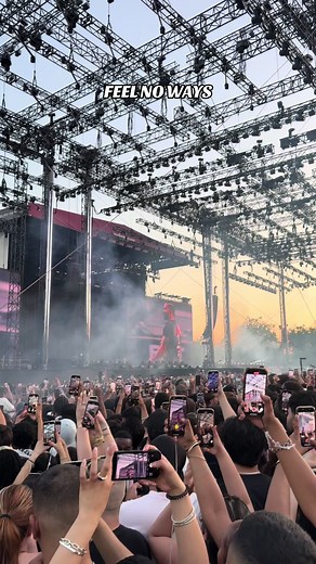 Drake Performs 'Feel No Ways' at Wireless Festival