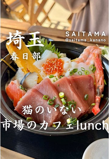 春日部の猫カフェ「キャットベース」