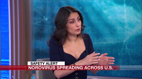 ‘Stomach flu’ spreading across U.S., health officials warn