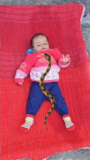 Sun kaike angana hamar 😭 #shorts #shortsvideo #status #viralshort #viralvideo