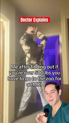 Doctor Reacts: MRI at the zoo?!