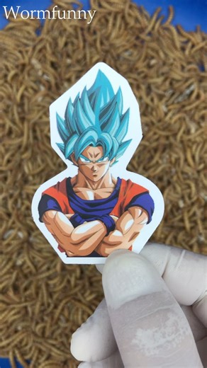 CATERPILLAR VS GOKU #caterpillar #funny #bug #chillcaterpillar #dragonball