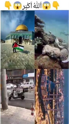 Mashallah ya rahman 😱😱 #islamicstatus #allhu #respect #duet #youtubeshorts #viralshort