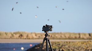 Will Neewer's Travel Tripods Put the Cat Among the Pigeons? I Think So.