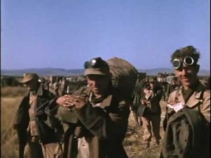 Tunisian Campaign (1943)