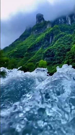 nature background video no copyright | free natural video |