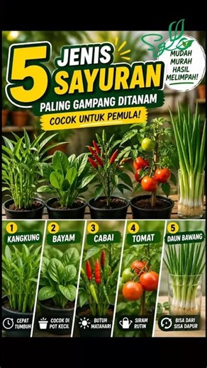 5 Tanaman Paling Gampang untuk Kebun Rumahan Pemula!