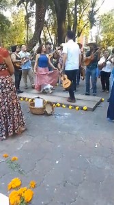 Los parques públicos reducen las emisiones de CO2, dan frescura y mitigan el calor. El espacio público es un lugar de libre acceso, intergeneracional, dónde interactuamos con el entorno natural y la diversidad cultural. Video. Teresa Irene. | Que siga el fandango