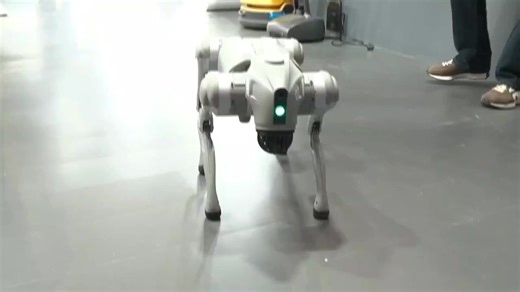 173K views · 4.6K reactions | This is Unitree Go2, an AI-powered Chinese robo dog that you can buy from Chinese websites for ₹2–3 lakh. Galgotias University, Gr Noida, presented it as their multi-crore AI innovation by naming it Orion at the AI Summit. Even Ashwini Vaishnaw, the concerned minister, used this robo dog’s video in his AI Summit compilation video titled India’s “sovereign models.” | The Skin Doctor | Facebook