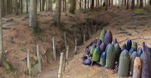 The "Red Zone" - Land Still Abandoned Due to the Dangers Left by the First World War | War History Online