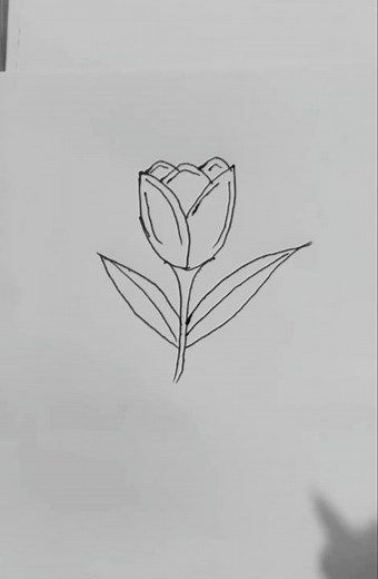 Easy Tulip Flower Drawing | Step-by-Step Tutorial for Beginners #drawing #shorts
