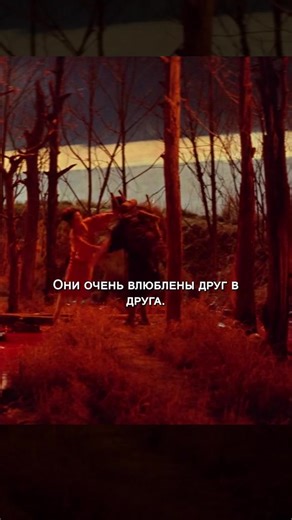 Video's van films_moref (@films_moref) met оригинальный звук - films_moref
