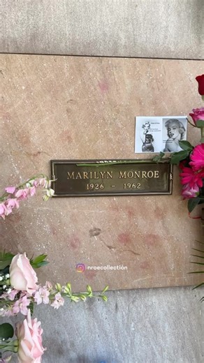 230K views · 3.7K reactions | Beautiful flowers for Marilyn on her 98th birthday. She’s still so loved. (The white spray is from me. 懶) Happy birthday Marilyn! #marilynmonroe | The Marilyn Monroe Collection | Facebook