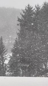 61K views · 4.7K reactions | Relaxing | The Ice Farm | Facebook