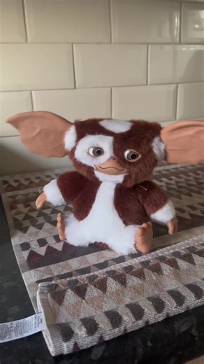 Wee gizmo 😍😊🥰 #gizmo #mogwai #gremlins