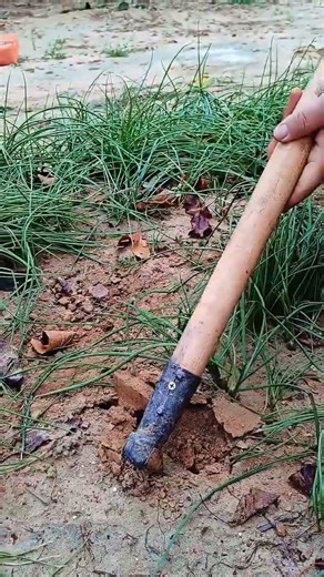 FK 7600 mini rotary tillage and ridging one one tree short view #travel #flowers #satisfying #beach