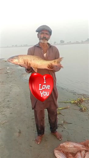 Hook fishing #pakistanfishingvlog #fishingpassionpk #daryameinmachhli #fishingmaniapakistan #pakistankeshikari #fishingloverspk #fishingaddictpk #riverfishingpakistan #ShauqEMachhli #machhlipakarna | fishing adventure