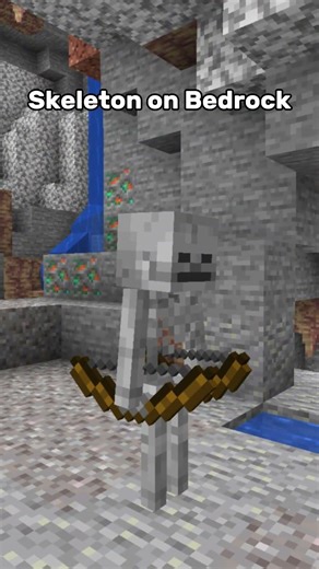 Java Skeleton VS Bedrock Skeleton😱 #minecraft #shorts #tiktok