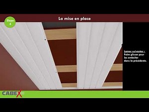 Standard pour pose en faux-plafond horizontal ou rampant