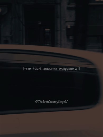 🎙 Hank Williams 🎵 I'm So Lonesome I Could Cry #hankwilliams #imsolonesomeicouldcry #40s #Country #CountryMusic #AmericanMusic