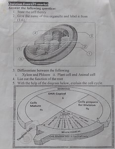 Answer the following questions:State the cell theory.Give th... | Filo
