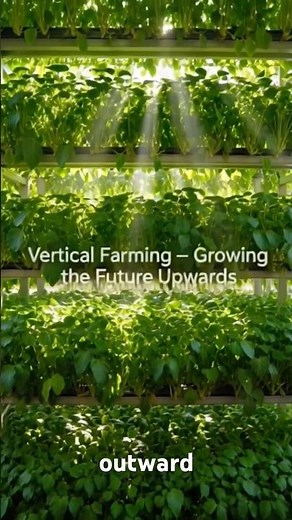 Farming Upwards: The Rise of Vertical Agriculture 🧑‍🌾