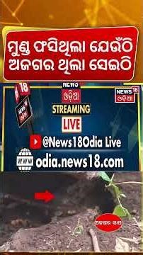 ମୁଣ୍ଡ ଫସିଥିଲା ଯେଉଁଠି ଅଜଗର...Nayagarh Rescue Operation |Fire fighters Free Trapped Boy | Nayagarh