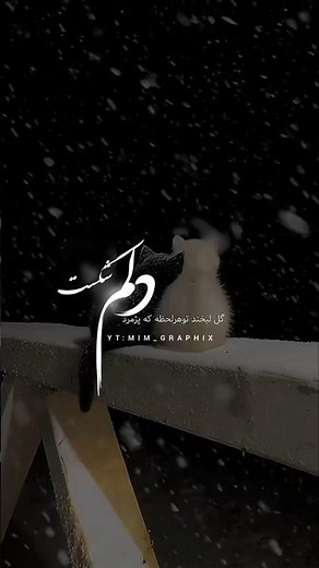 یار یار | آهنگ جدید رضا بهرام از البوم نیمی از من❤ #موسیقی #رضا_بهرام #یوتیوب_فارسی