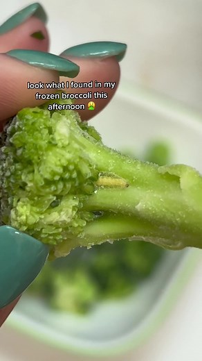 Discovering Bugs in Frozen Broccoli: A Shocking Find