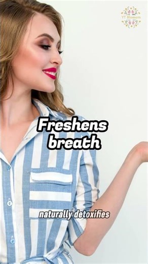 11 Amazing Health Benefits of Parsley 🌿 | YT Blossom #shorts #parsley #healthyliving