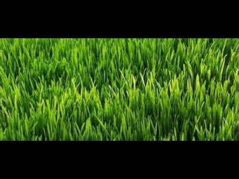 Roblox Great Citadel of Possible JJT Difficulties