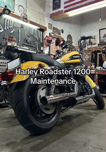 Harley Roadster 1200 Maintenance Tips
