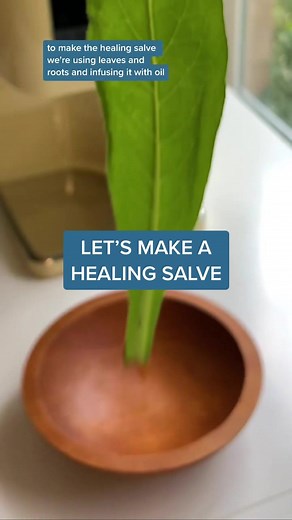How to Make a Healing Salve with Comfrey | Gardening Remedies