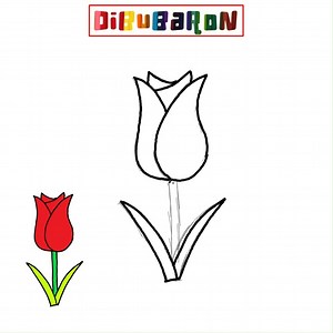 como dibujar un tulipan | Dibujos fáciles | DibuBaron
