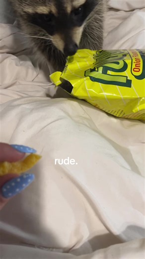 Understanding Rudeness in Everyday Interactions