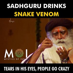 165K views · 496 reactions | Sadhguru Drinks Snake Venom. An Extremely Powerful video. Watch Till the End! | Mystics of India | Facebook