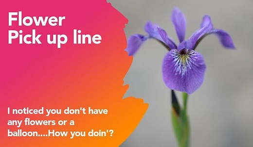 150  Flower Pick Up Lines And Rizz